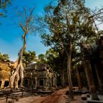 zdjecia z podrozy, fotografia podroznicza, zdjecia z kambodzy, fotografie kambodza, zdjecia angkor wat, fotografie z siem reap, zdjecia z sihanoukville, fotografie wyspa koh rong, piekne krajobrazy, letnie krajobrazy, piekne pejzaze, zdjecia z azji, fotografie azja