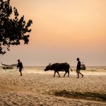 zdjecia z podrozy, fotografia podroznicza, zdjecia z kambodzy, fotografie kambodza, zdjecia angkor wat, fotografie z siem reap, zdjecia z sihanoukville, fotografie wyspa koh rong, piekne krajobrazy, letnie krajobrazy, piekne pejzaze, zdjecia z azji, fotografie azja